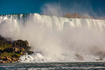 Niagara Falls waterfall with mist clouds and flying birds over powerful cascading water