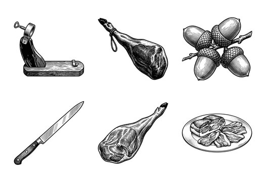 Vintage engraving collection of Spanish jamon serrano including iberico ham leg, acorns, carving knife, and wooden stand holder in black and white line art style.