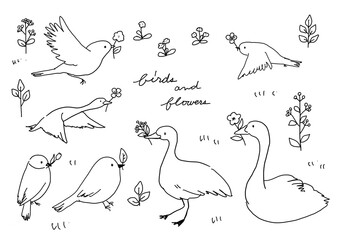 Hand-drawn outline illustrations of cute birds and swans Birds carrying flowers Birds carrying happiness