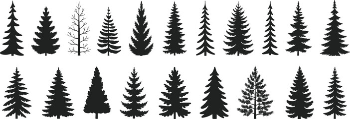 WebBig set of black pine tree silhouettes, coniferous forest evergreen spruce fir cedar icons, minimalist nature elements for winter landscape, flat vector illustration © Noman