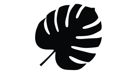 A striking black silhouette of a monstera deliciosa leaf on white © MdMojiburRahman