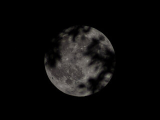 Full moon with trees in front of it © Austin