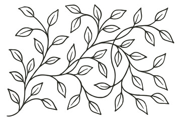 Intricate line drawing of a branching vine with delicate leaves © mdalhazsarkar