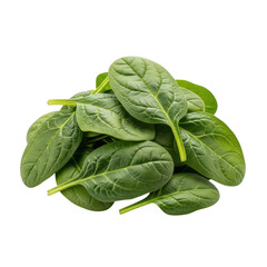 Fototapeta premium A small fresh pile of vibrant green spinach leaves isolated on transparent background high quality professional