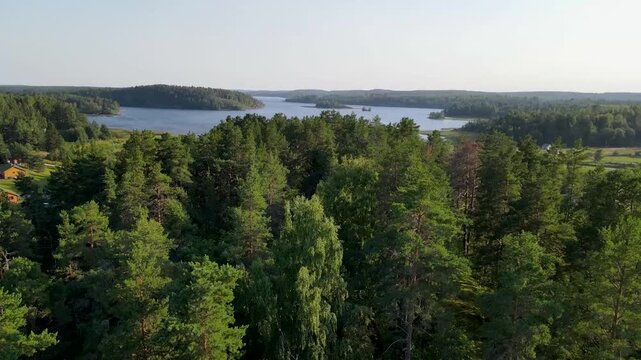 Karelia, green forest and clear water lake, Lake Onega in Russia, Unmanned Aerial Vehicle, Lake Onega