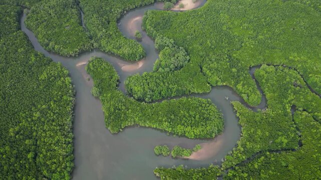 Kubang Badak Mangrove Reserve on Langkawi Island, Malaysia.