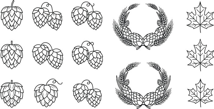 Hops and wheat icon set, brewery logo elements, maple leaf vectors, beer ingredients, harvest wreaths, organic farming symbols, agricultural line.