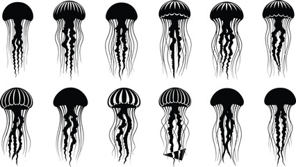 Jellyfish vector silhouette set, marine life collection, underwater creature icons, medusa illustrations isolated on white background, sea life nature elements. © Rahena ARAFAT