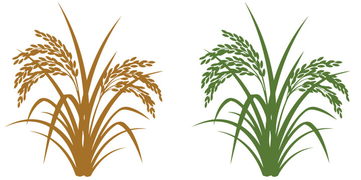 Minimalist rice ear silhouette with golden paddy grain vector illustration set