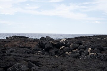 The lava landscape along the coast of Hawaii Island