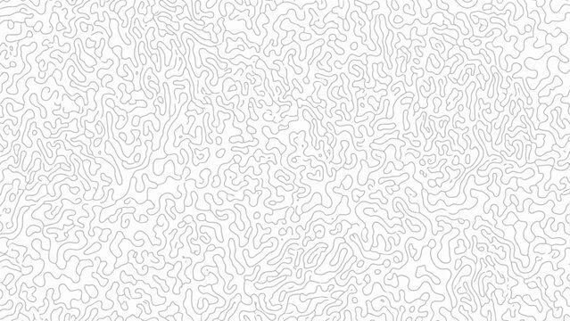 Organic Line Pattern on White Background
