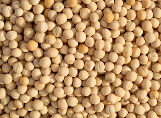 peas seed with white background