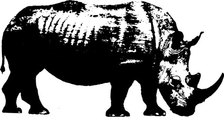 Fototapeta premium Rhinoceros silhouette in high contrast black and white ink art for retro designs