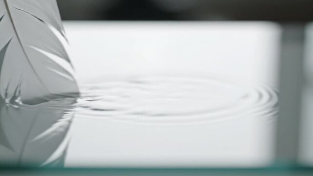 A slow moving - white feather landing on calm water, touching the surface and concentric circles form appears