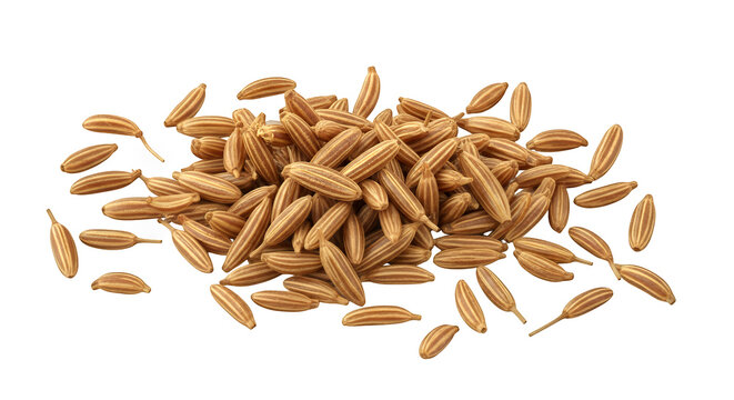 Realistic pile of brown cumin seeds (Jeera), aromatic whole spice for seasoning and Indian cooking isolated on transparent background

