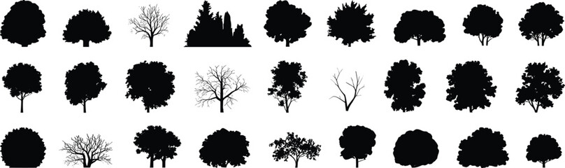 Tree silhouettes collection, diverse foliage vector, botanical illustration design, seasonal variation art, forest landscape elements, nature growth shapes, woodland diversity