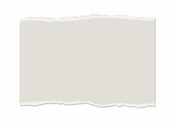 Obraz premium Torn paper background with a rough, irregular edge, ideal for design and text placement on a plain white backdrop