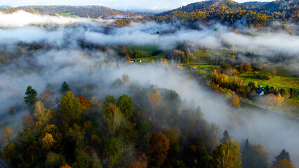 mgły nad lasami © Grzegorz