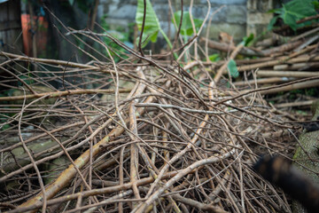 Large pile of dry bare tree branches and twigs on the ground