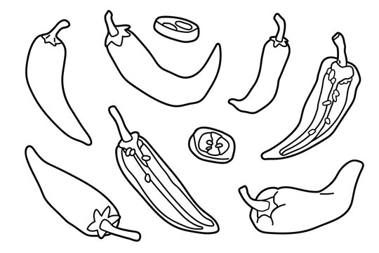Set of chilli pepers in different views, black and white outline illustration. Hand drawn capsicum whole and sliced, isolated on light background for colouring or coloring pages, menu or food design.