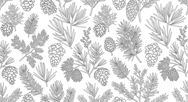 A black and white illustration of pinecones and leaves on a white background