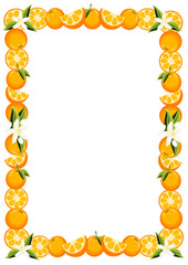 Square frame made of fresh oranges, slices and blossoms isolated on white background, citrus border for greeting card, banner and packaging design