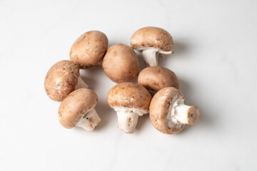 マッシュルーム