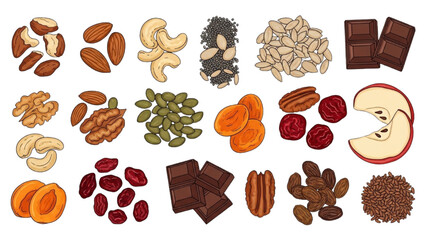 High-quality black outline colorful illustration of healthy snack spread with nuts, seeds, dried fruits and dark chocolate pieces