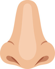 Detailed realistic human nose vector illustration front view textured skin premium anatomy art isolated on white