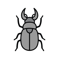 Gray beetle with large horns on white background for science or nature projects