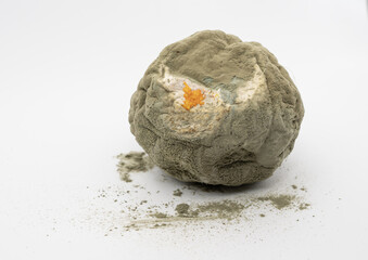 Spoiled citrus fruit entirely covered with mold and fungus isolated on white background. Concept of contamination, decay, bacteria and food waste.