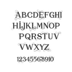 Fototapeta premium Elegant Ornate Calligraphy Alphabet and Numbers Black and White.