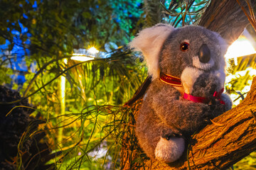 koala plush in a tree © Tyko