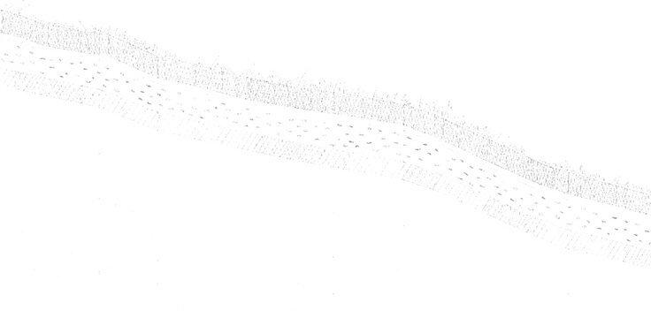 Cross section of layered soil strata with grass texture at layers