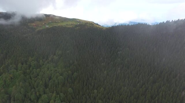 Aerial view of village houses on a ridge amid pine forests rising through drifting clouds in Rize. Moist fog and sis sweep over the Blacksea plateau revealing forest scenery near Camlihemsin.