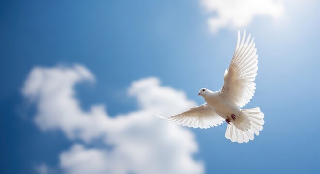 A white dove flying against a blue sky with fluffy white clouds.