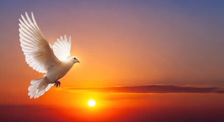 Fototapeta premium A white dove flying against a vibrant sunset sky.