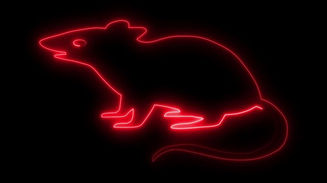 Neon Glowing Mouse Rat Icon and Symbol Animation on Black Background.
