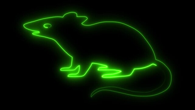 Neon Glowing Mouse Rat Icon and Symbol Animation on Black Background.