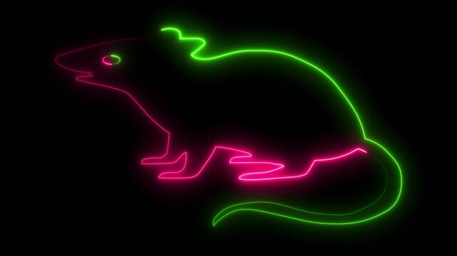 Neon Glowing Mouse Rat Icon and Symbol Animation on Black Background.