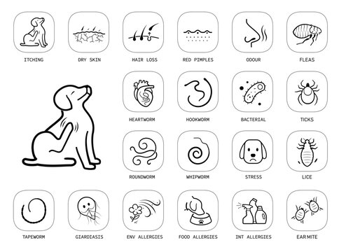 Set of vector icons focuses on cats and dog parasites and worms. The icons are designed to be versatile, suitable for use in informational materials, veterinary goods, pet care, apps, and more. EPS10.