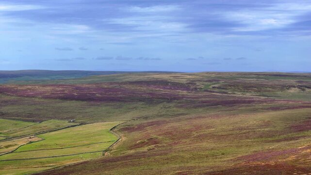 dramatic aerial view of high yorkshire moorland in summer with heather in bloom above grass meadows at Midgley moor in Calderdale