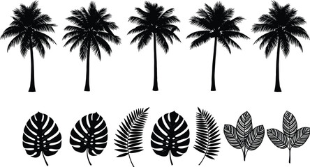 Collection of tropical palm trees monstera and fern leaf silhouettes isolated on white background botanical vector illustration set © Rayhan