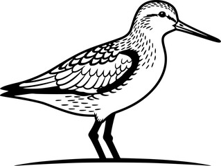 Obraz premium sandpiper silhouette line art vector illustration with a white background