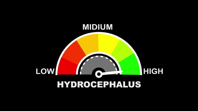 A conceptual gauge with a needle pointing to the mid-range, labeled LOW", MIDIUM", and HIGH" with color-coded segments, indicating a HYDROCEPHALUS" level text or word low and medium to high meter...