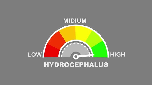 A conceptual gauge with a needle pointing to the mid-range, labeled LOW", MIDIUM", and HIGH" with color-coded segments, indicating a HYDROCEPHALUS" level text or word low and medium to high meter...