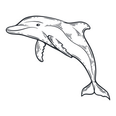 Dolphin illustration, black and white silhouette, underwater sea life animal, engraving isolated © Iryna Nevruzova