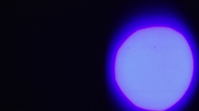 Vibrant colorful light leaks and defocused blinking neon circles on a dark background.