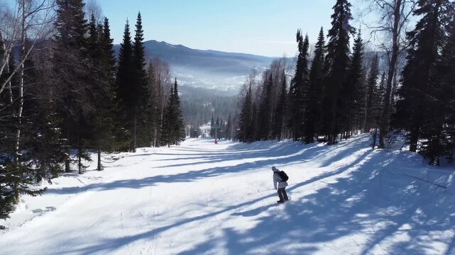 A drone view of a ski slope among tall trees, a ski piste at the Sheregesh resort. A snowboarder rides smoothly and softly on his board, evoking the atmosphere of freeriding and a love of the mountain