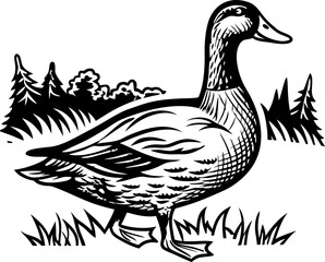 Fototapeta premium Duck standing in grass with forest background black and white illustration of a waterfowl in natural habitat